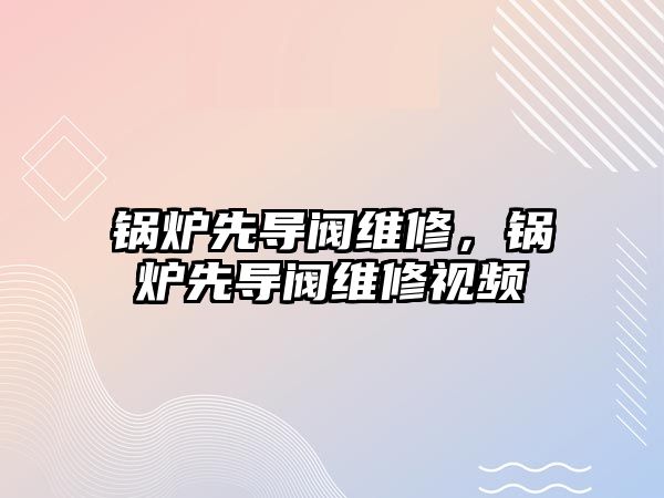 鍋爐先導(dǎo)閥維修，鍋爐先導(dǎo)閥維修視頻